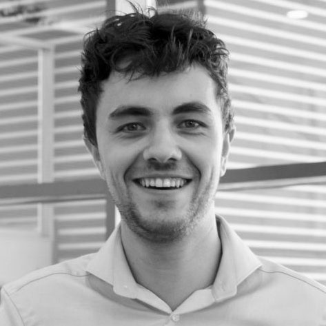 Bram Mies, Student consultant